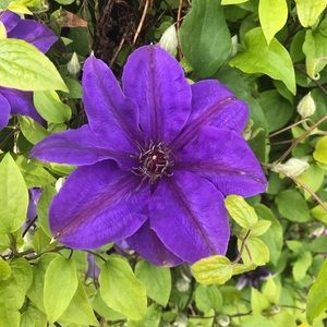 Meet your Posher, Sue ann